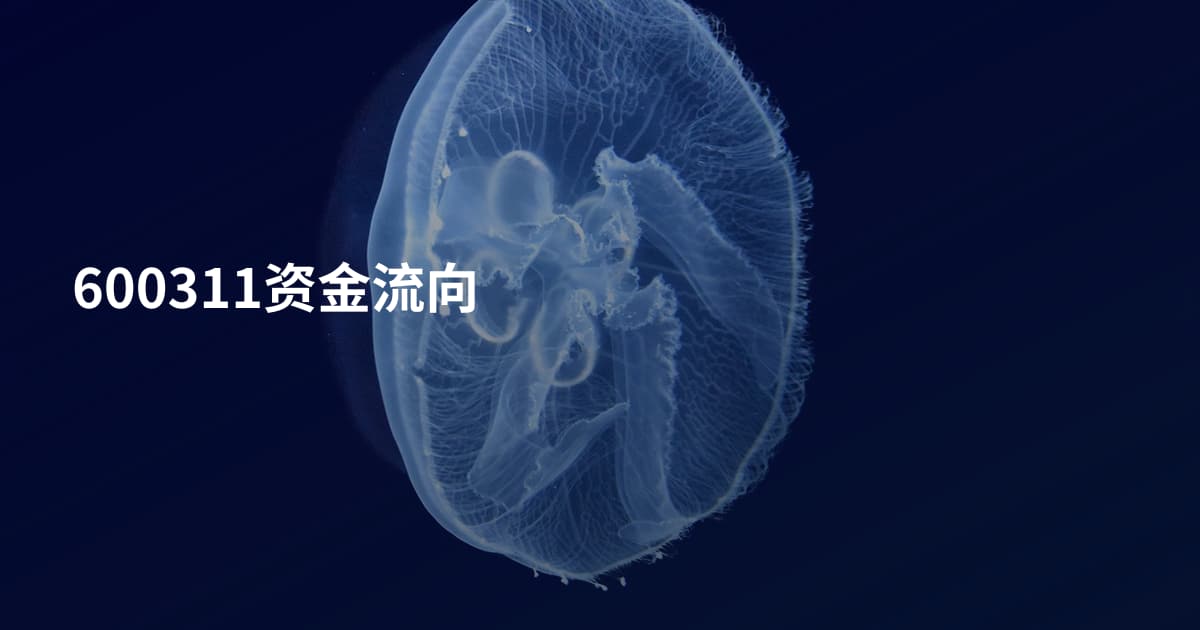 600311资金流向