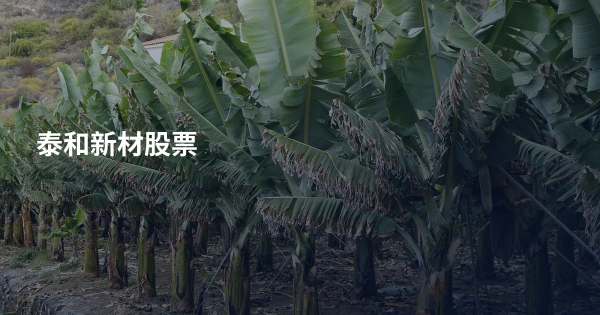 泰和新材股票