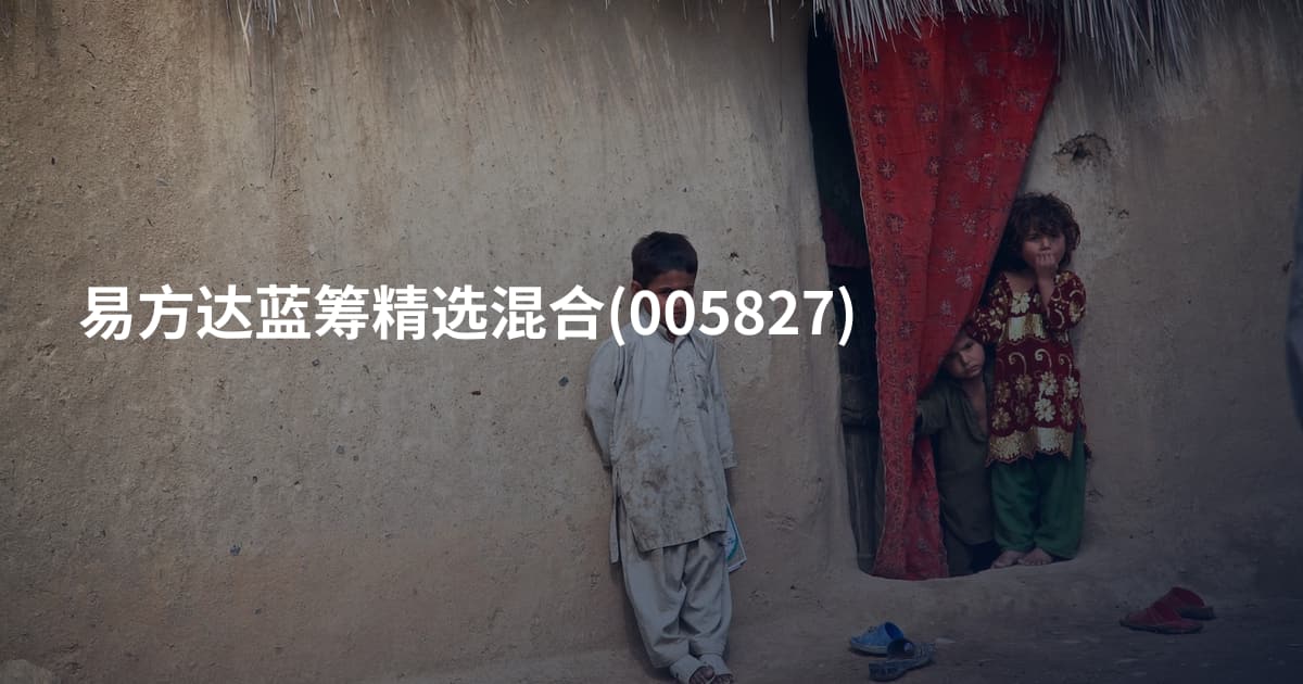 易方达蓝筹精选混合(005827)