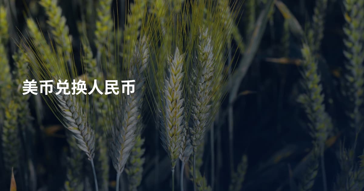 美币兑换人民币