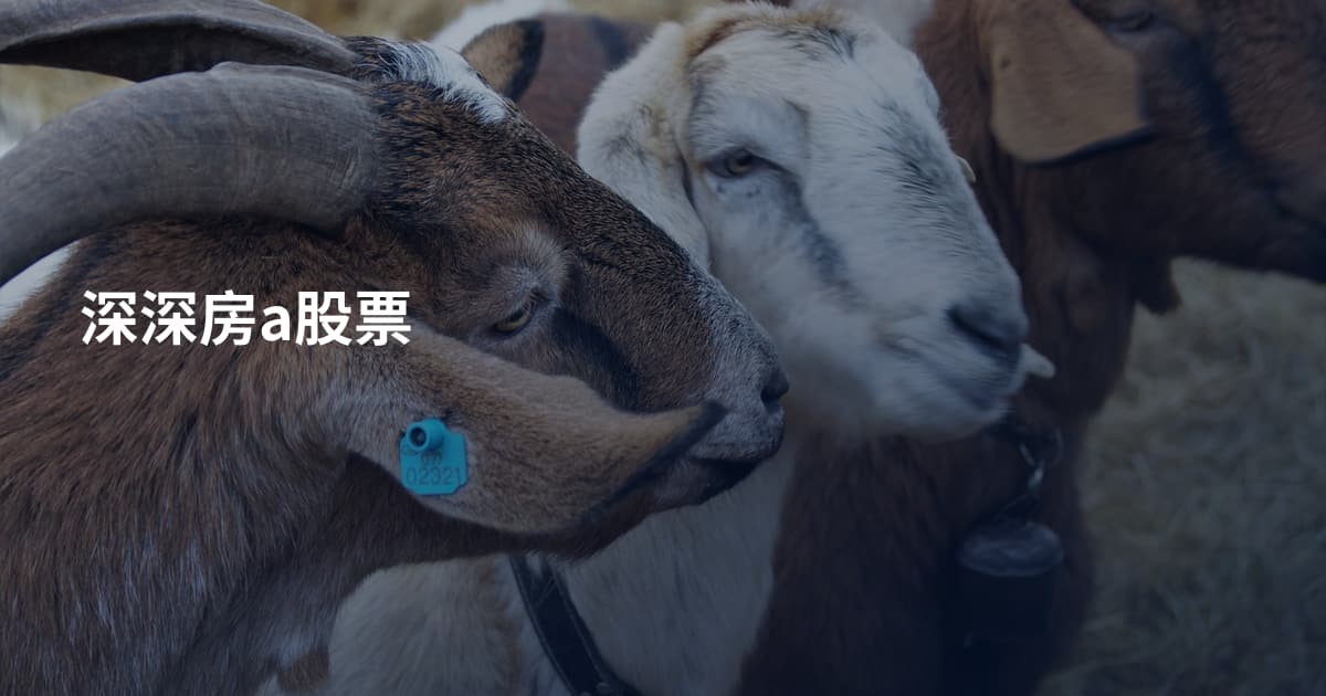 深深房a股票