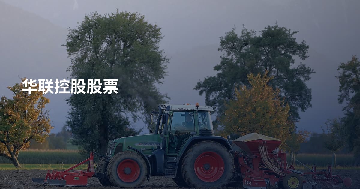 华联控股股票
