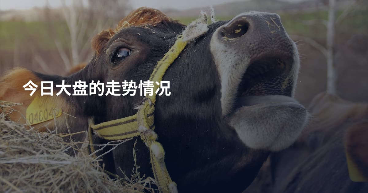 今日大盘的走势情况