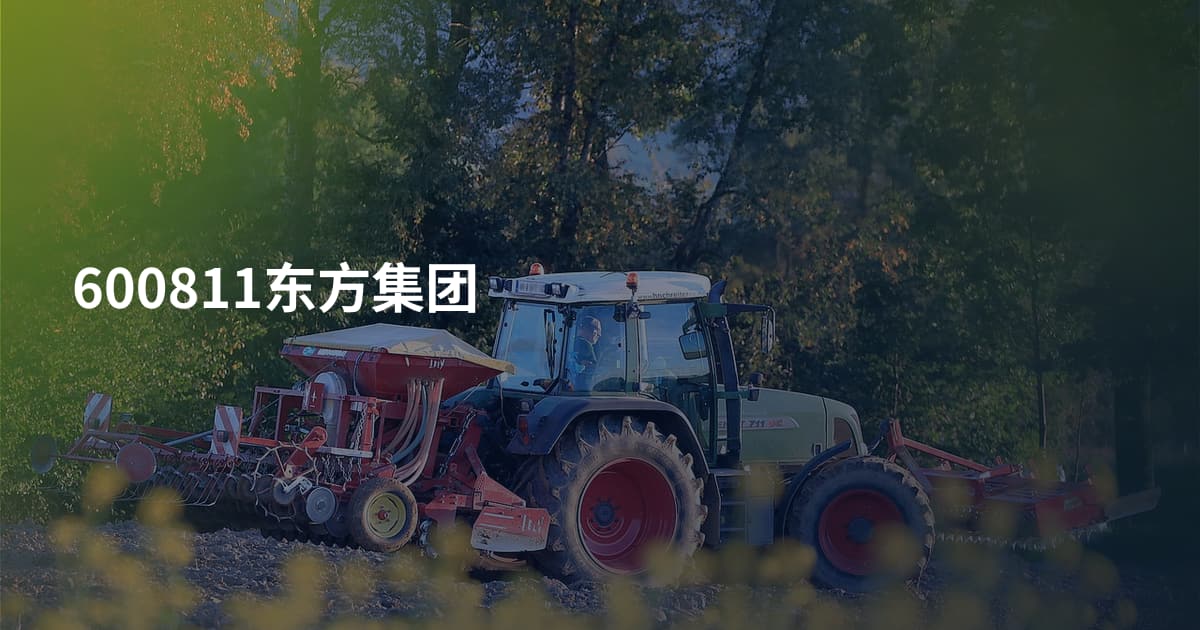 600811东方集团