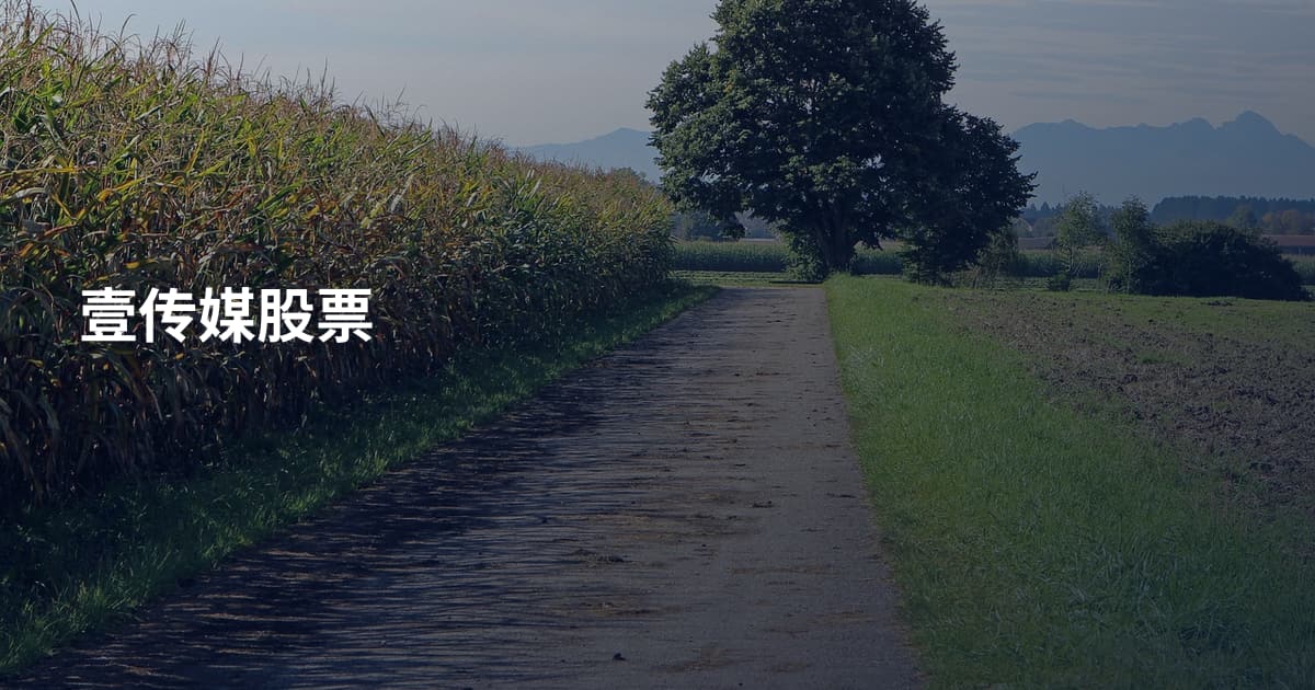 壹传媒股票
