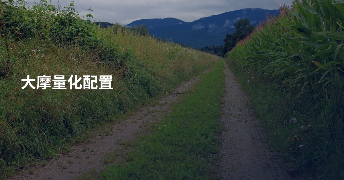 大摩量化配置