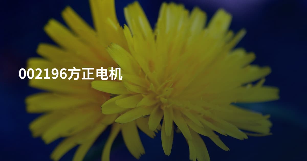 002196方正电机