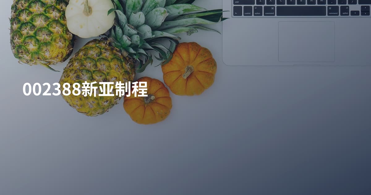 002388新亚制程