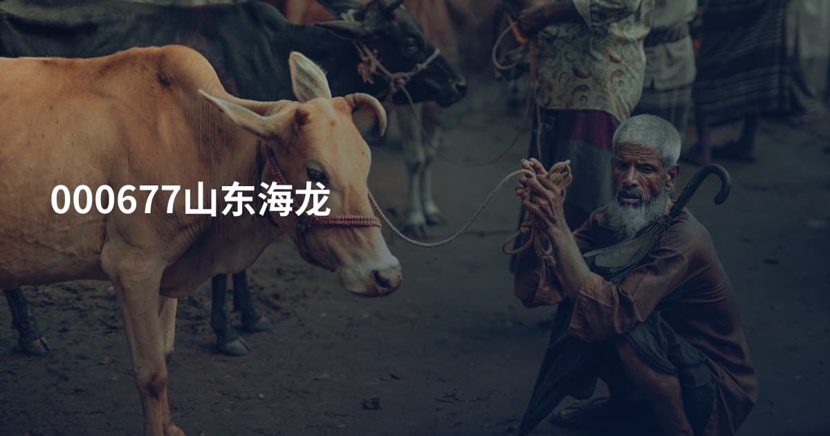 000677山东海龙