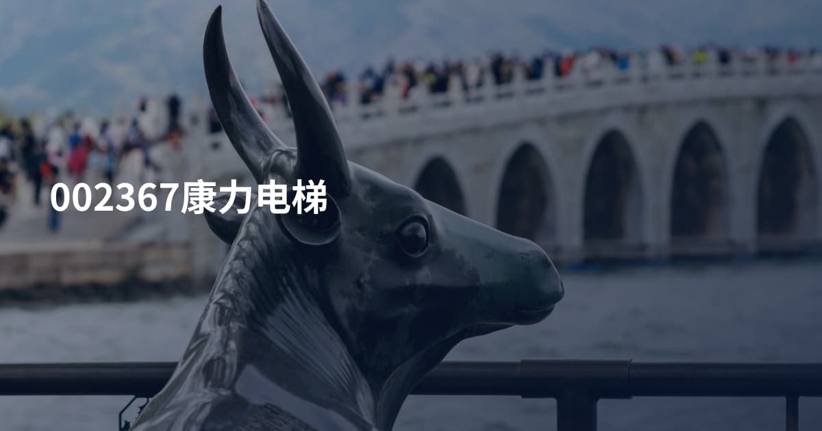 002367康力电梯