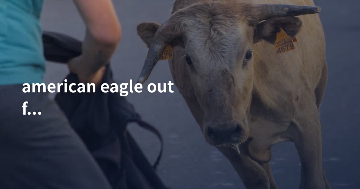 american eagle outfitters