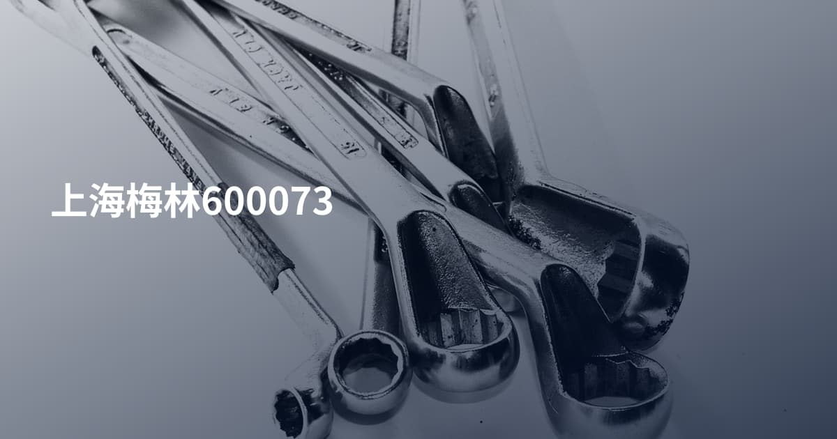 上海梅林600073