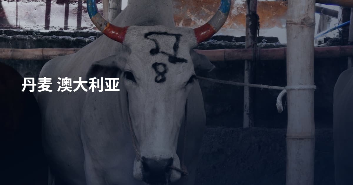 丹麦 澳大利亚