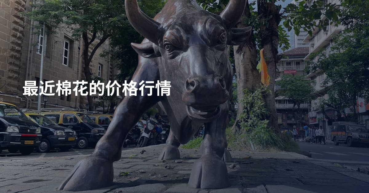 最近棉花的价格行情