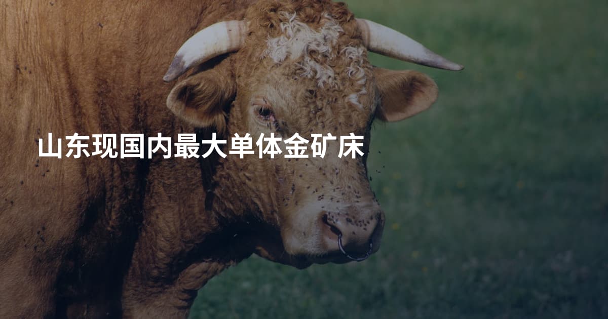 山东现国内最大单体金矿床