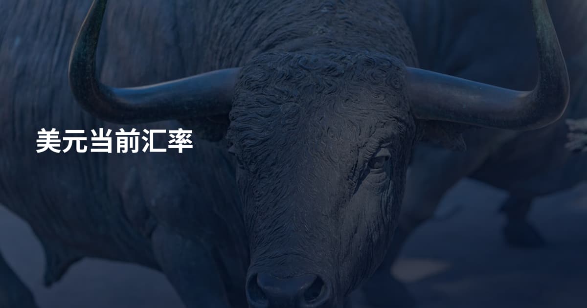 美元当前汇率