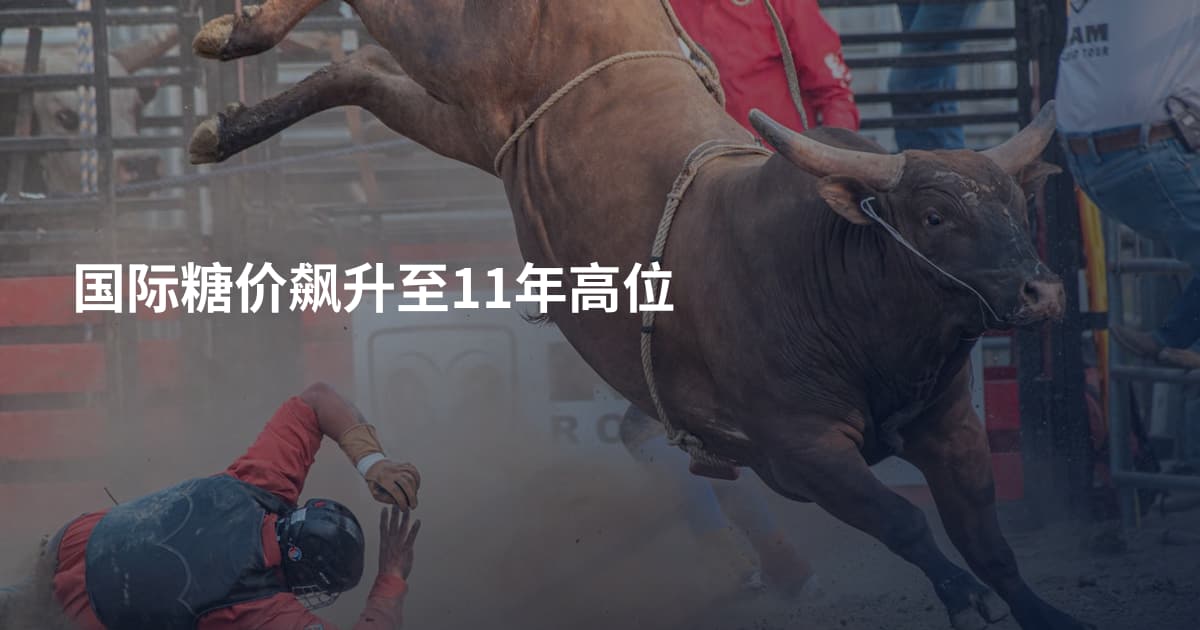 国际糖价飙升至11年高位