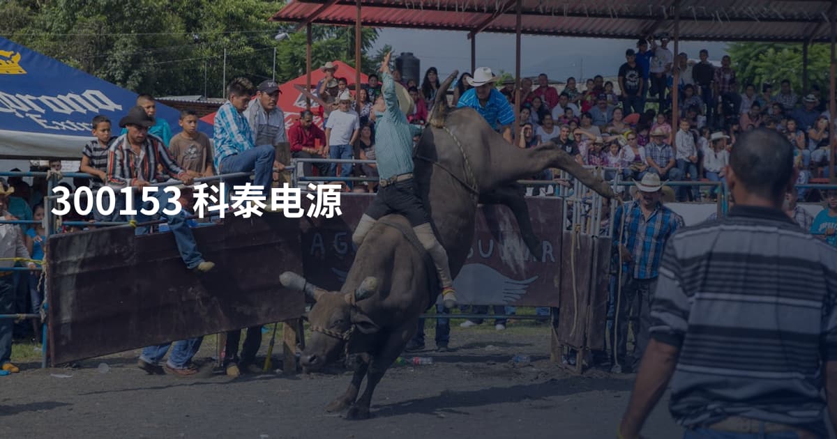 300153 科泰电源