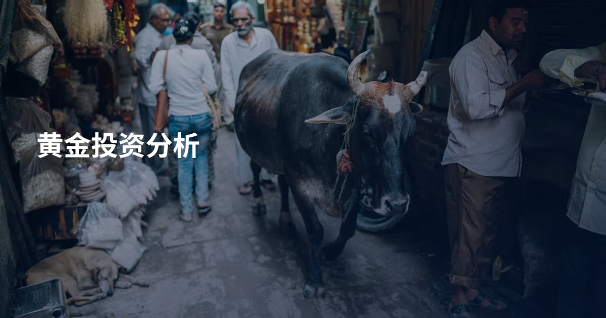 黄金投资分析