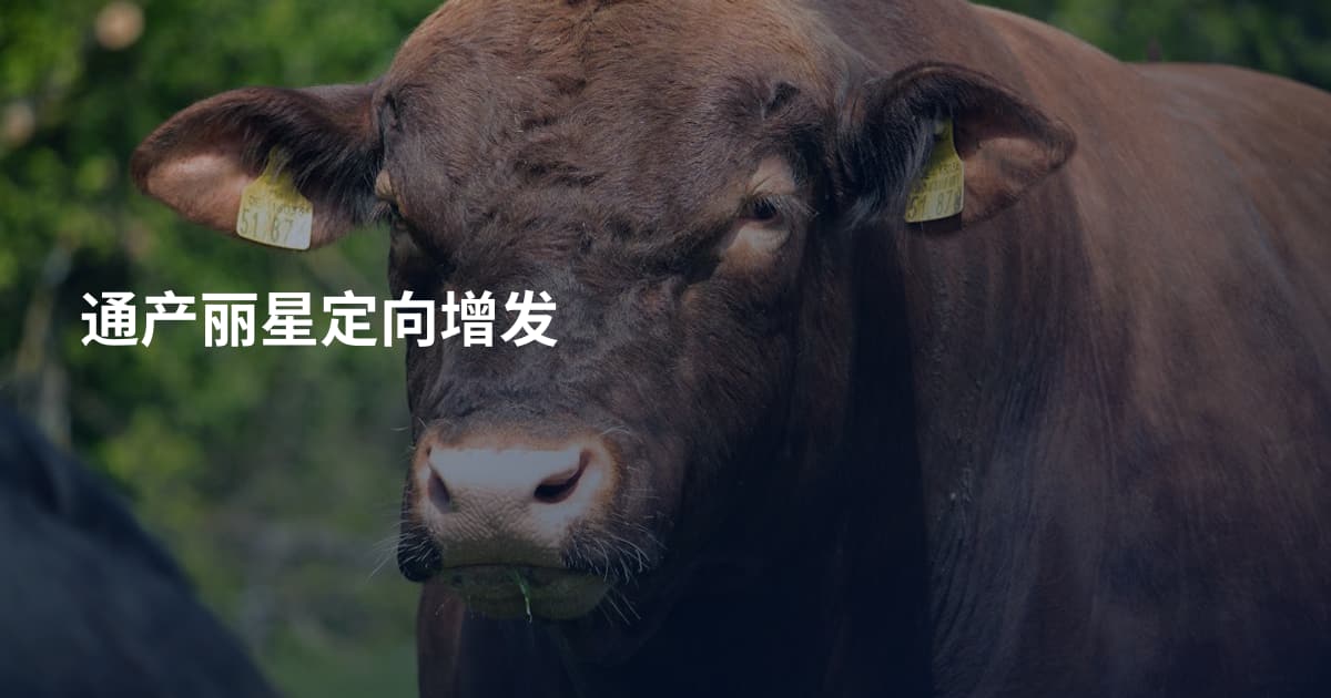 通产丽星定向增发