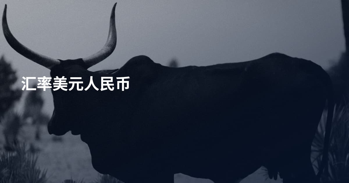 汇率美元人民币
