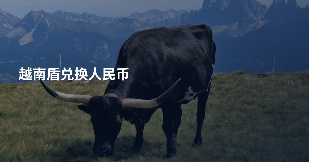 越南盾兑换人民币