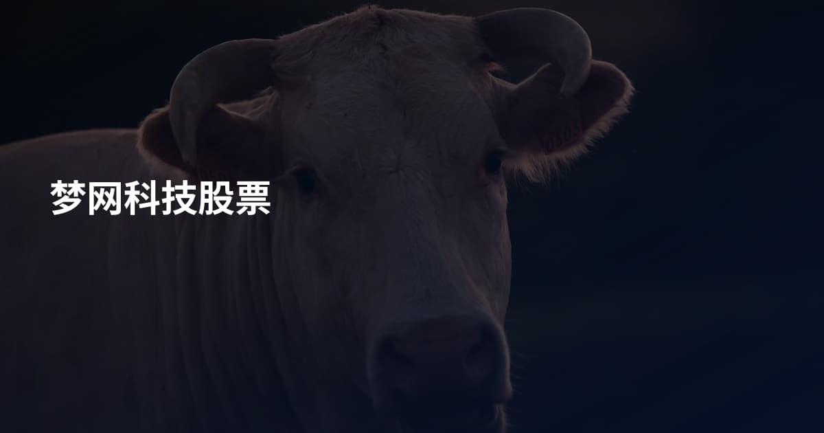 梦网科技股票