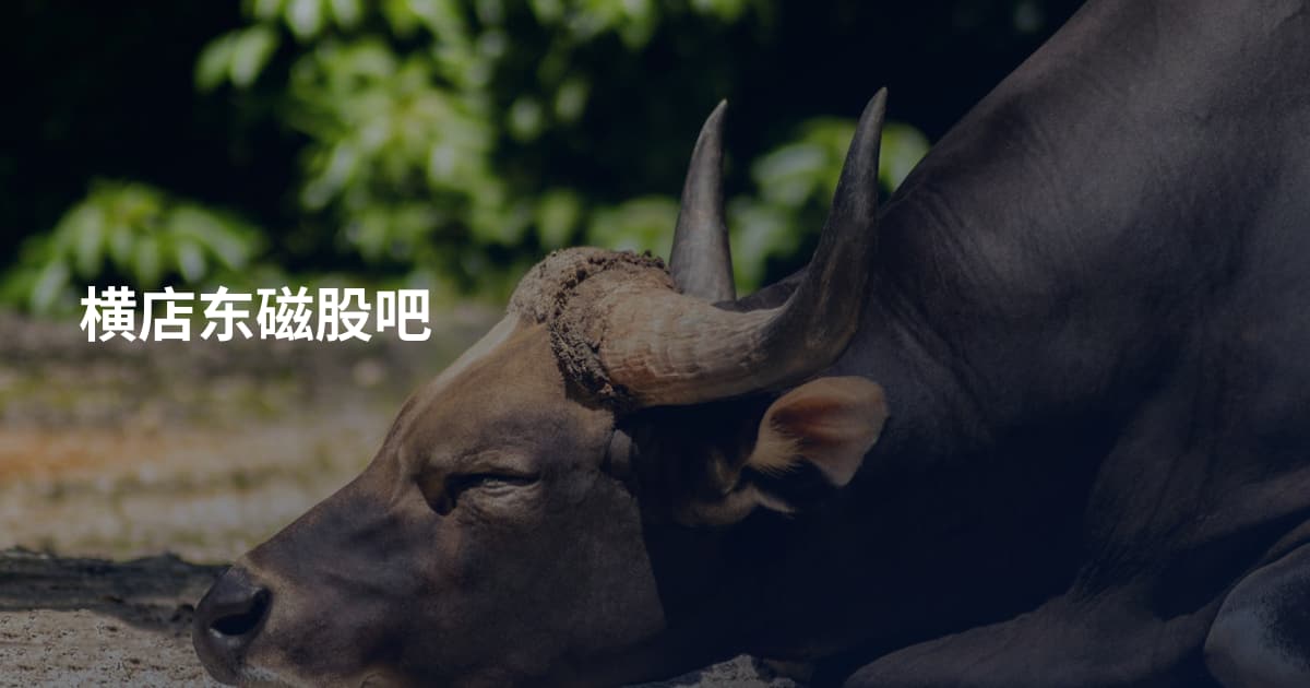 横店东磁股吧