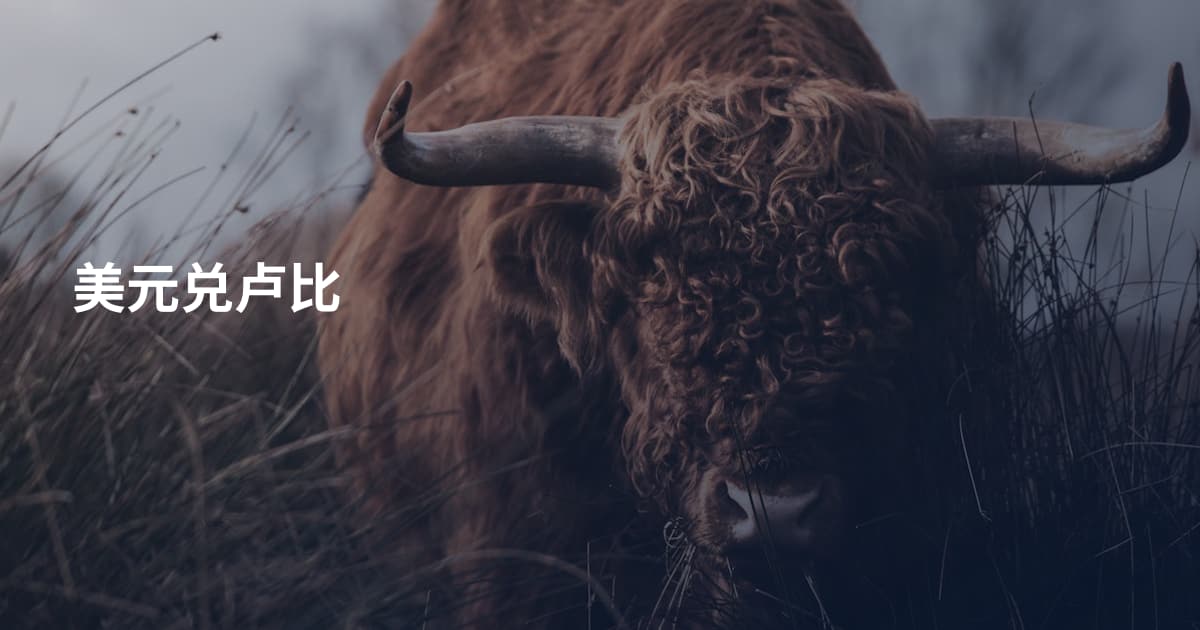 美元兑卢比