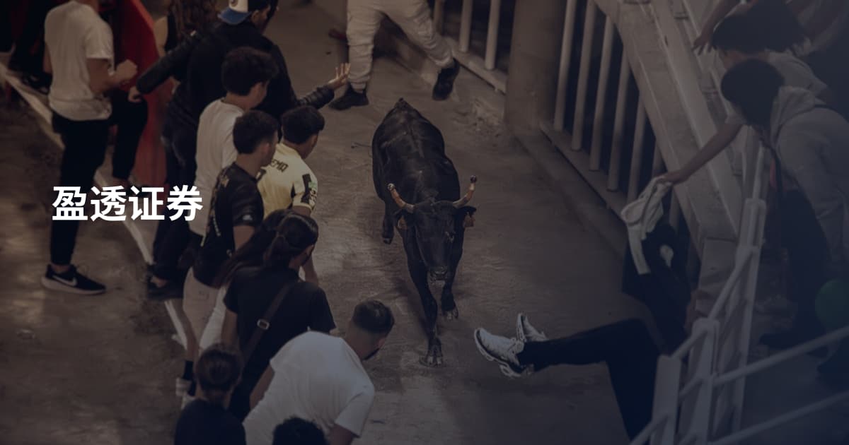 盈透证券