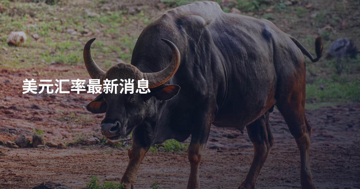 美元汇率最新消息