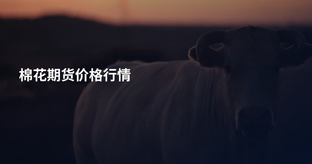棉花期货价格行情