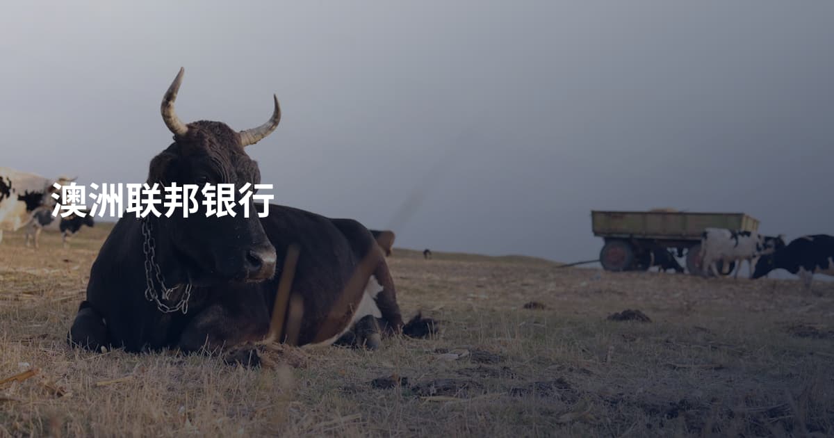 澳洲联邦银行