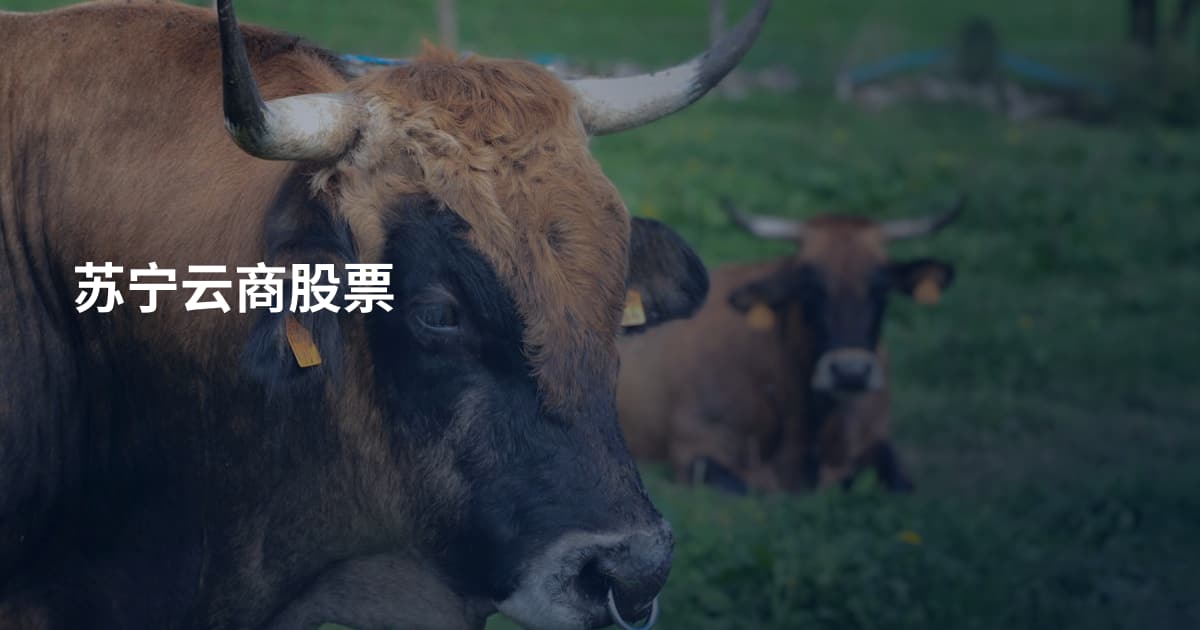 苏宁云商股票