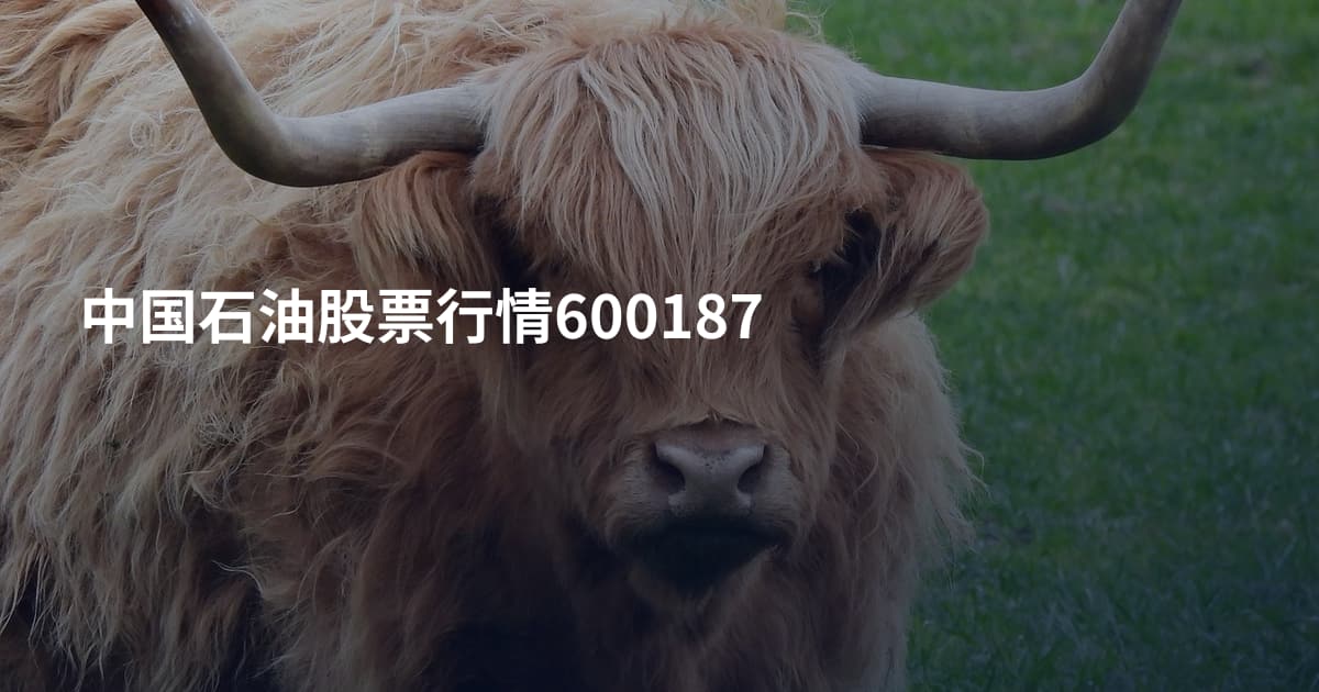 中国石油股票行情600187