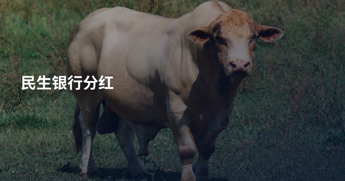 民生银行分红
