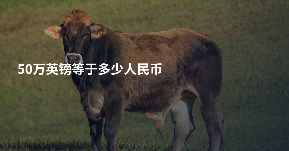 50万英镑等于多少人民币
