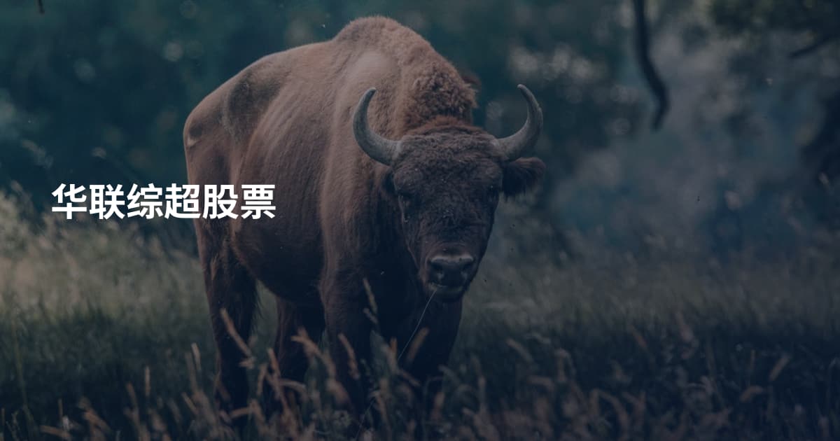 华联综超股票