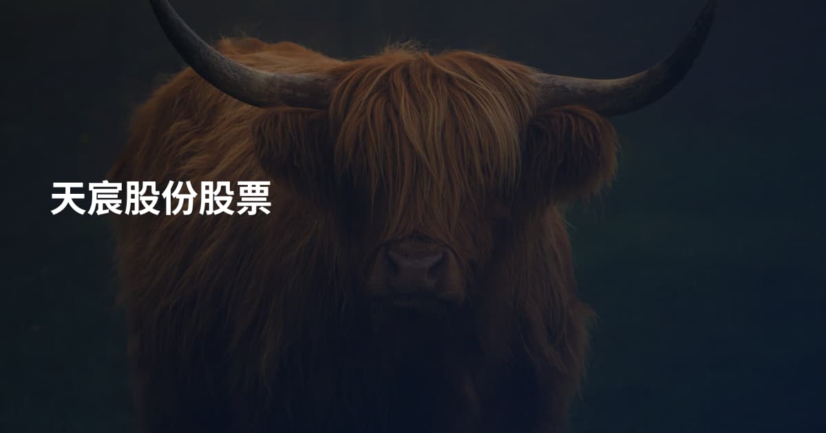 天宸股份股票