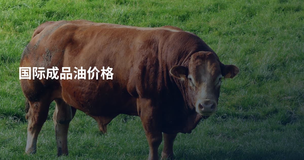 国际成品油价格