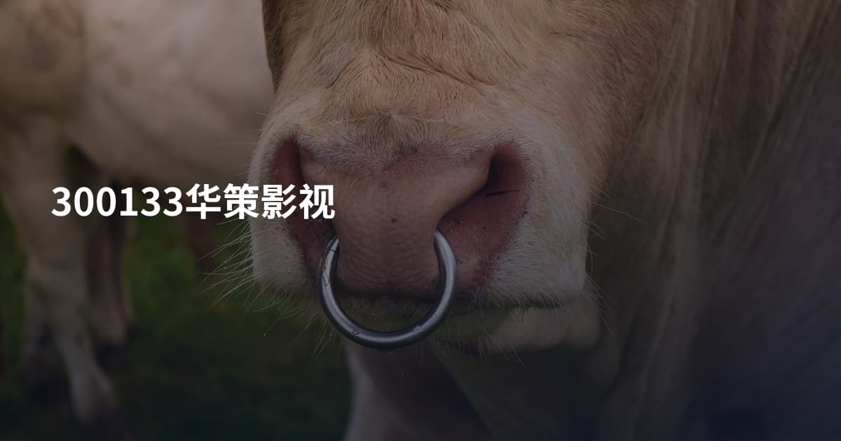 300133华策影视