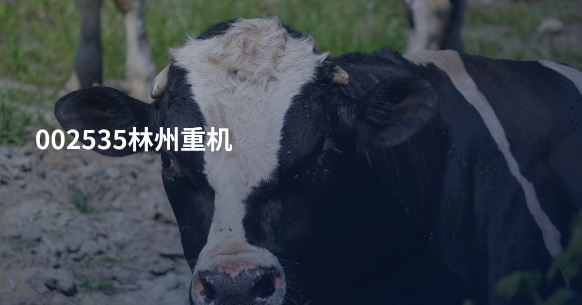 002535林州重机