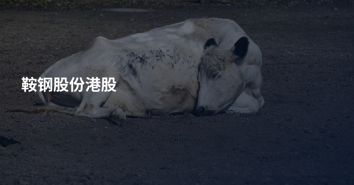 鞍钢股份港股