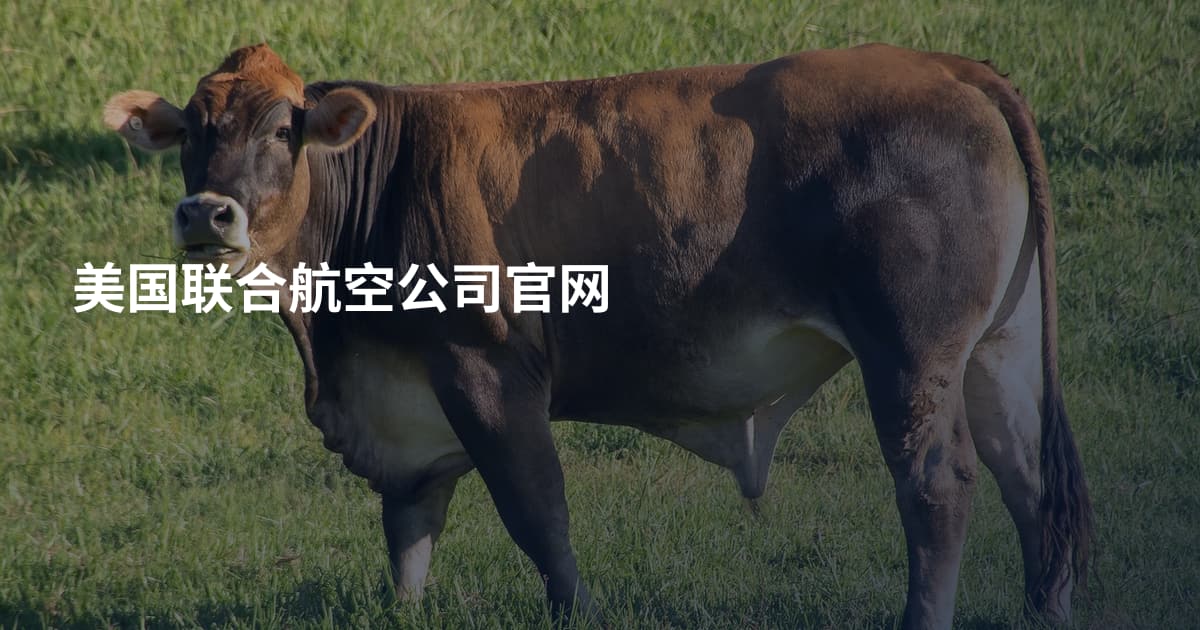 美国联合航空公司官网