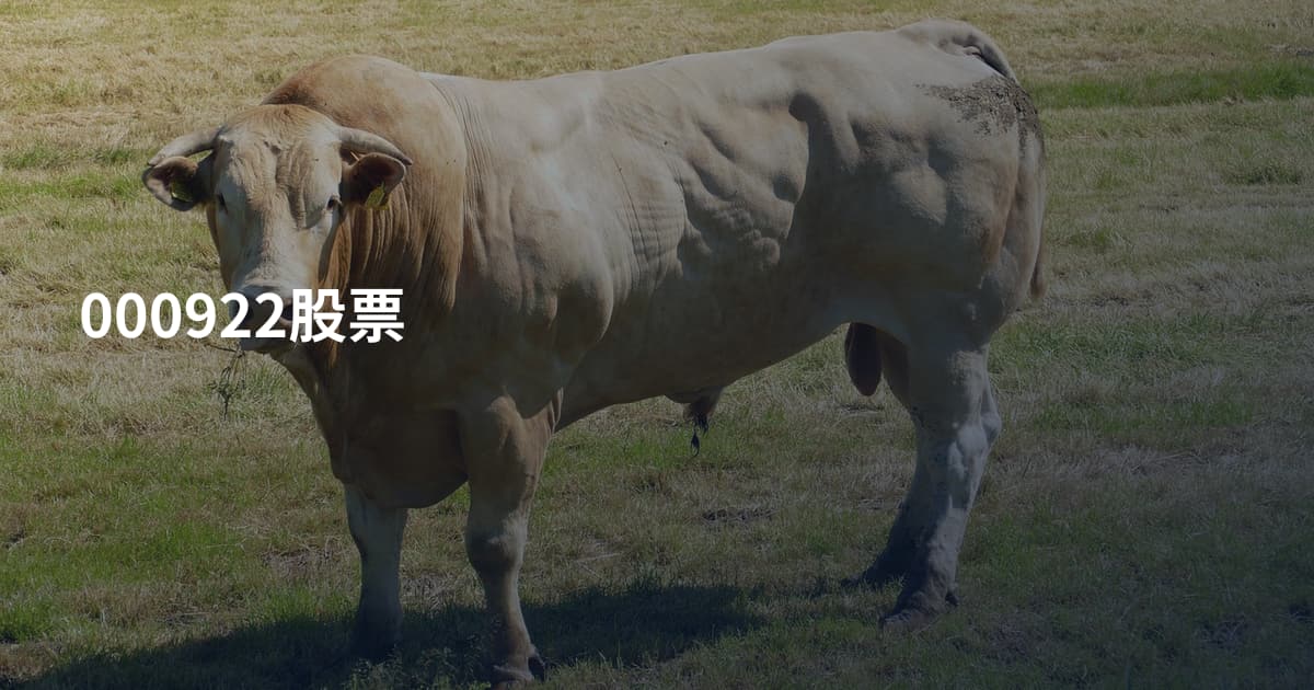 000922股票