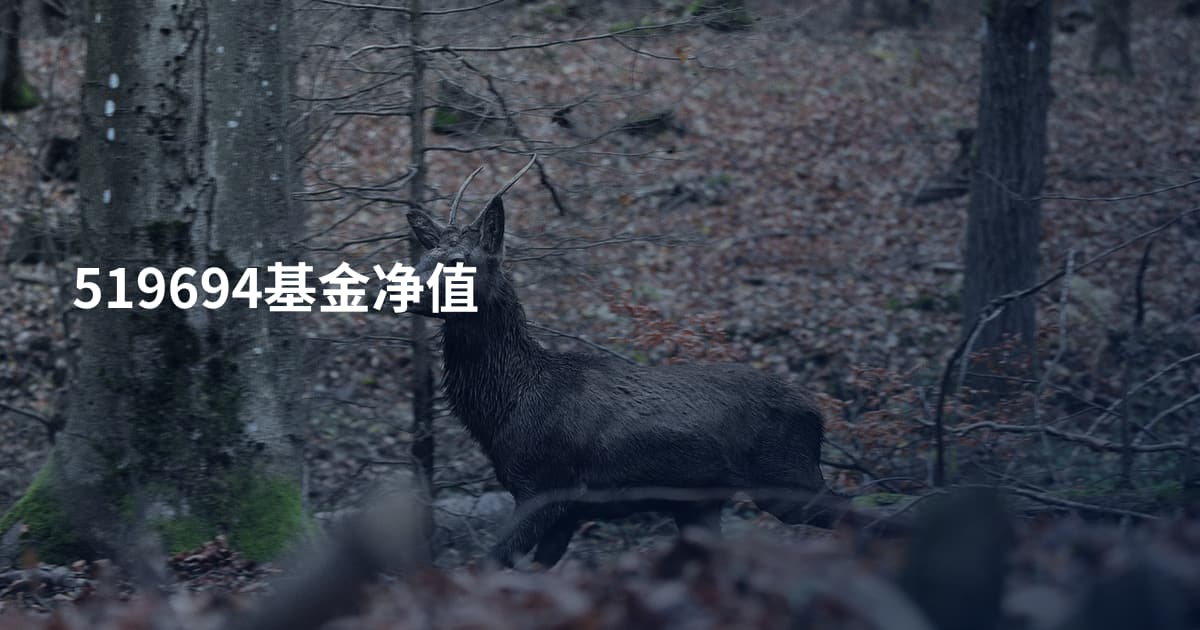 519694基金净值