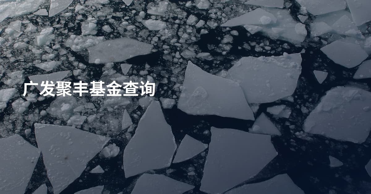 广发聚丰基金查询