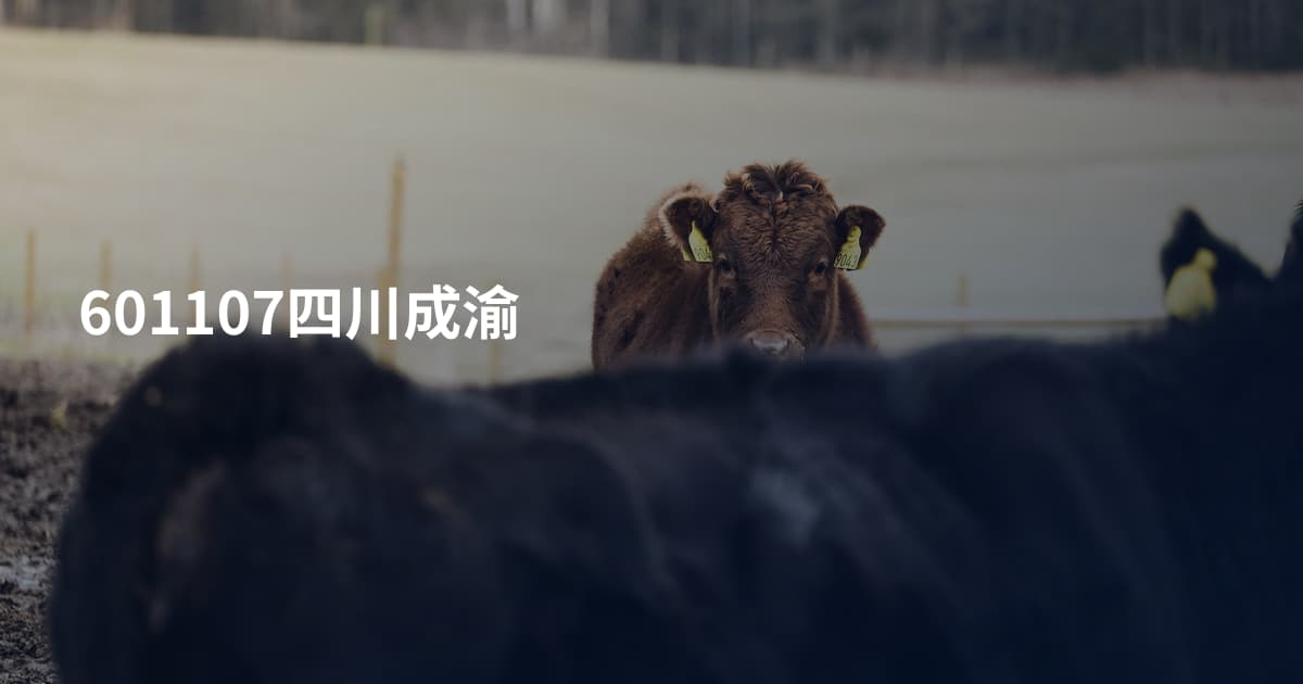 601107四川成渝