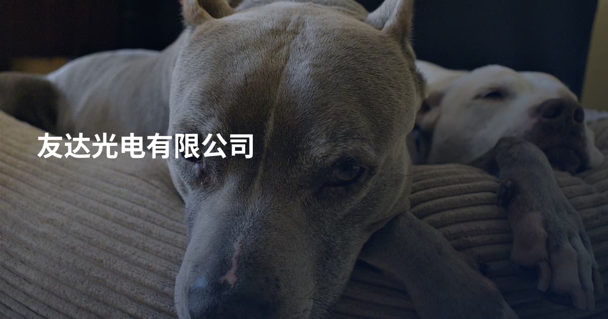 友达光电有限公司
