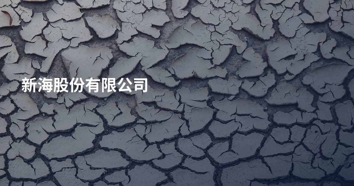 新海股份有限公司